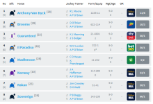 Screenshot_2019-06-28 Racecard Dubai Duty Free Irish Derby (Group 1).png