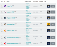 Screenshot_2019-09-13 Racecard Coolmore 'Fastnet Rock' Matron Stakes (Group 1).png