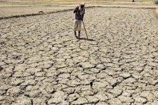 farmer-kKGF--621x414@LiveMint.jpg