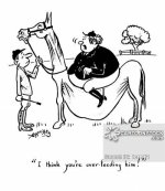 animals-horse_rider-horse_rider-equestrianism-equestrians-horseback_riders-icrn12_low.jpg