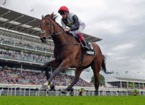 cracksman 1.jpg