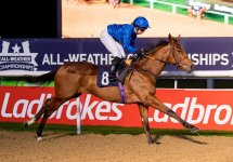 SwiftRose-1st-Novice-Wolverhampton-171118-JHipkiss-01-A.jpg