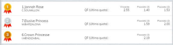 Immagine.png