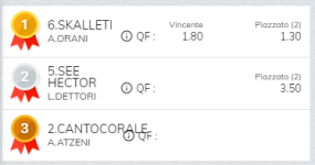 Immagine.png