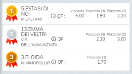Immagine.png