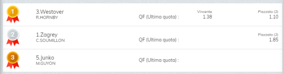 Immagine.png