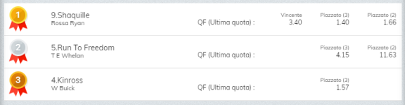 Immagine.png