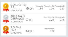 Immagine.png
