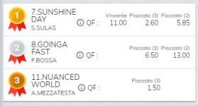 Immagine.png
