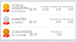 Immagine.png