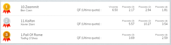 Immagine.png
