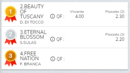 Immagine.png