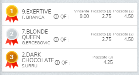 Immagine.png